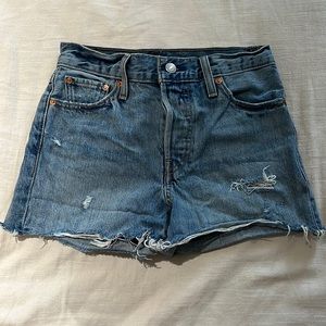 VINTAGE LEVIS SHORTS: WEDGIE SHORT